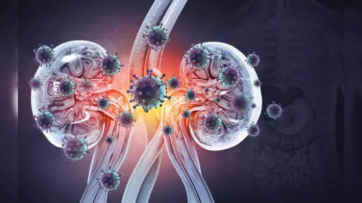 Here Are Why Chronic Kidney Disease Is On The Increase We Tend To Ignore